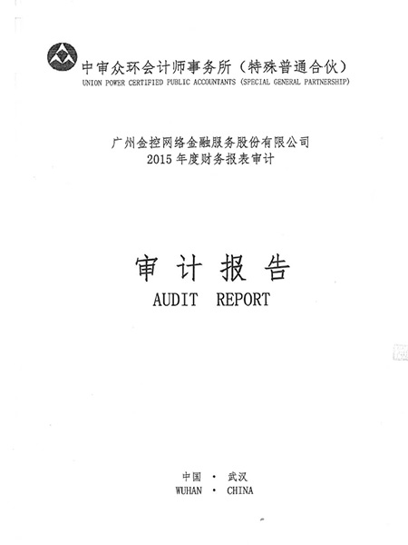2015年财务审计报告