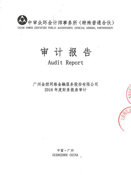 2016年财务审计报告